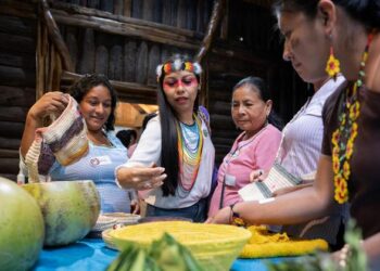 ONU: Necesitamos la sabiduría indígena para hacer frente a la crisis planetaria