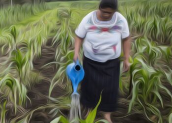 No existen indicadores que muestren cuánto se ha reducido la violencia contra la mujer con el acceso a la tierra