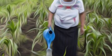 No existen indicadores que muestren cuánto se ha reducido la violencia contra la mujer con el acceso a la tierra